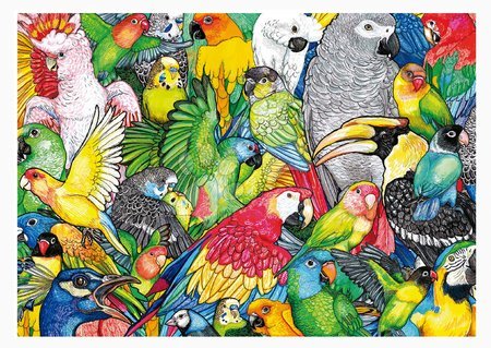 Puzzle cu 500 de bucăți  - Puzzle Parrots Educa_1