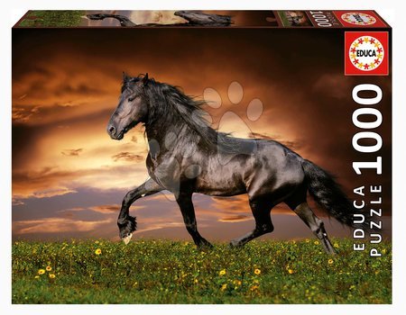 Puzzle 1000 dielne - Puzzle Trotting Horse Educa