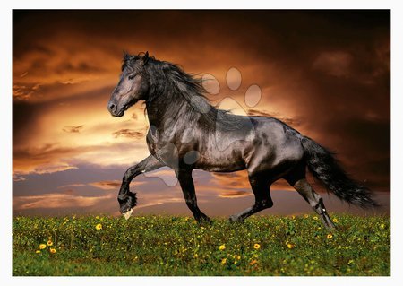 1000 delne puzzle - Puzzle Trotting Horse Educa_1