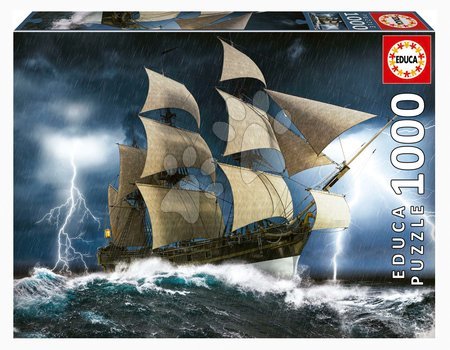 Puzzle a spoločenské hry - Puzzle Perfect Storm Horse Educa