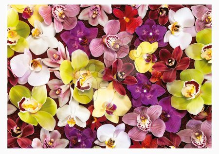 Hračky pre všetkých od 10 rokov - Puzzle Orchid Collage Educa_1