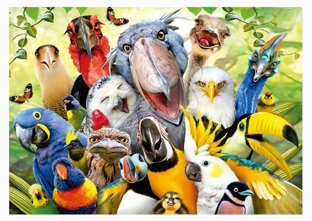 500 delne puzzle - Puzzle Watch the Birdie Educa_1