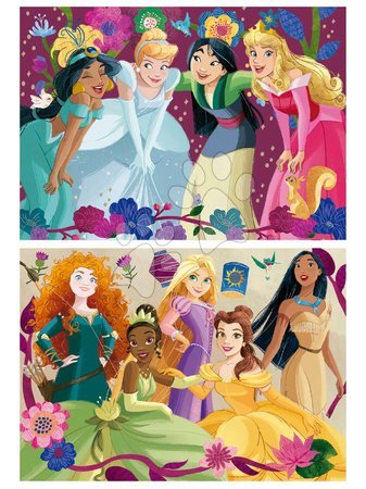 Puzzle de copii maxim 100 piese - Puzzle Disney Princess Educa_1