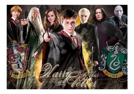 Miniaturowe puzzle - Puzzle Harry Potter Wizarding World Educa - 1