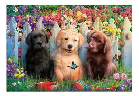 Puzzle Educa od proizvođača Educa | Stranica 13 - Puzzle Posing Puppies Educa_1