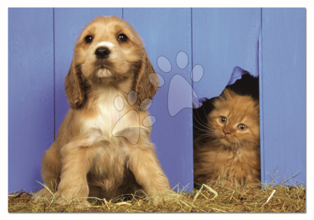 Puzzle cu 500 de bucăți  - Puzzle Genuine Let You Know Educa - 1