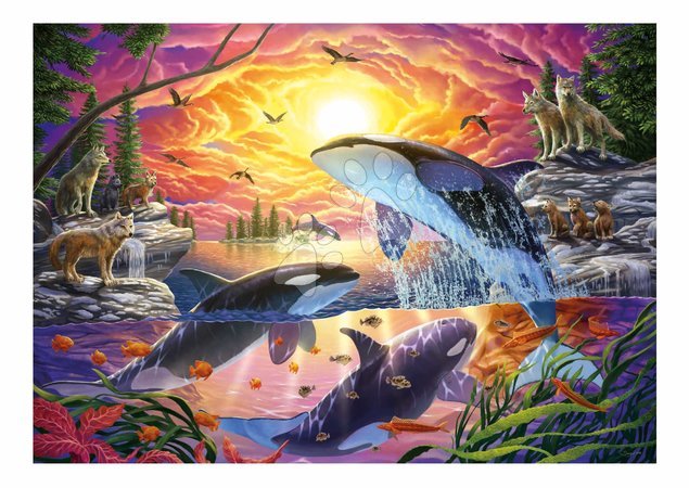 Puzzle - Puzzle Orcas und Wölfe Leben Educa_1