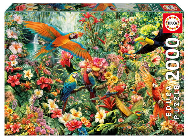Puzzle 2000 dielne - Puzzle Amazon Birds Educa