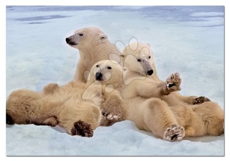 Puzzle - Puzzle Rodinka ledních medvědů Educa