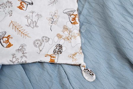 Igračke za grljenje i spavanje - Plišani medo za maženje Bear Taupe Flat Comforter Doudou et Compagnie - 3