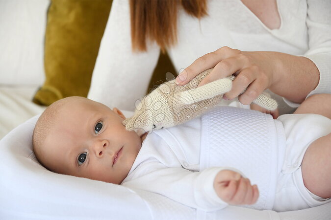 Hnízdo na spaní Cocoonababy® - Hnízdo na spaní pro miminka Cocoonababy® 10° Fleur de Coton® White Red Castle - 5