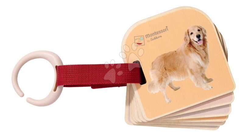 Hračky pre ročné deti - Wooden picture book with animals: Montessori Picture Book Eichhorn