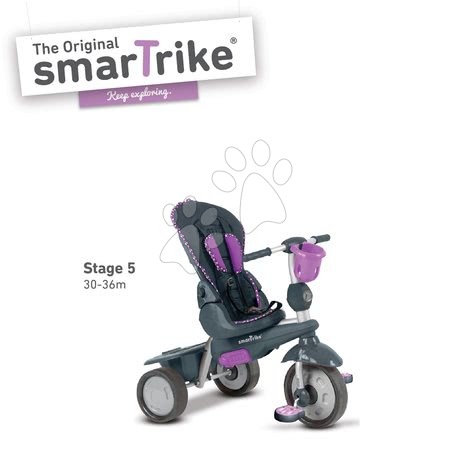 Tříkolky od 10 měsíců - Tříkolka Splash 5v1 Purple smarTrike - 5