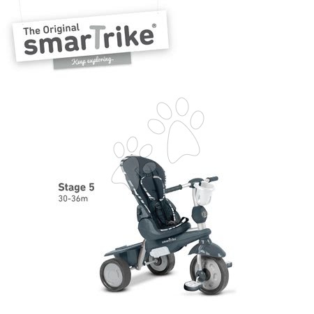 Tříkolky od 10 měsíců - Tříkolka Dazzle 5v1 smarTrike - 5