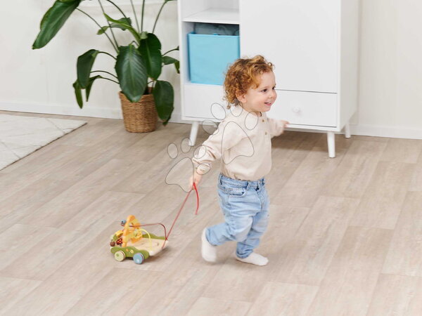 Eichhorn | Pagină 2 - Labirint din lemn de tras Pull-along Wagon Eichhorn_1