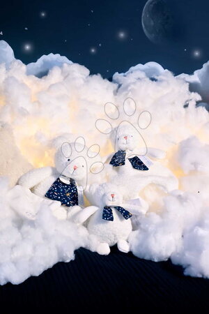 Plyšoví medvědi - Plyšový medvídek svítící ve tmě Moonlight Collection Doudou et Compagnie - 13
