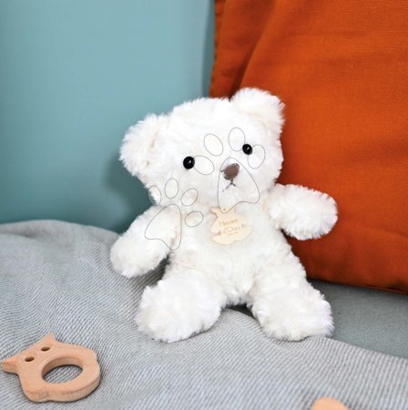 Plišaste igrače - Plišasti medvedek Calin Bear Histoire d’ Ours_1