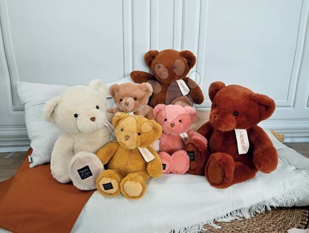 Teddybären - Teddybär Ocher Le Nounours Histoire d’ Ours_1