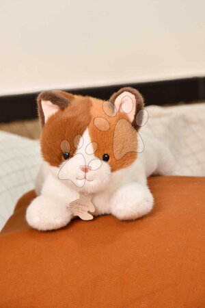 Plyšové zvieratká - Plyšová mačička s ťažkým bruškom P'tit Relax Cat Histoire d’ Ours - 2