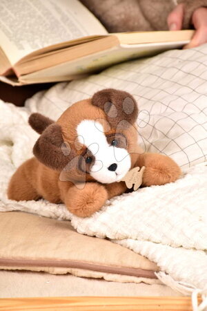 Plyšové hračky | Novinky | Strana 21 - Plyšový pejsek s těžkým bříškem P'tit Relax Brown Dog Histoire d’ Ours_1