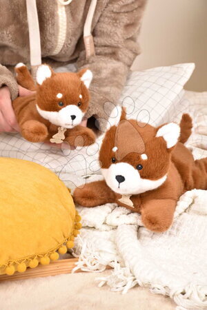 Plyšové zvieratká - Plyšová panda červená s ťažkým bruškom P'tit Relax Red Panda Histoire d’ Ours - 4