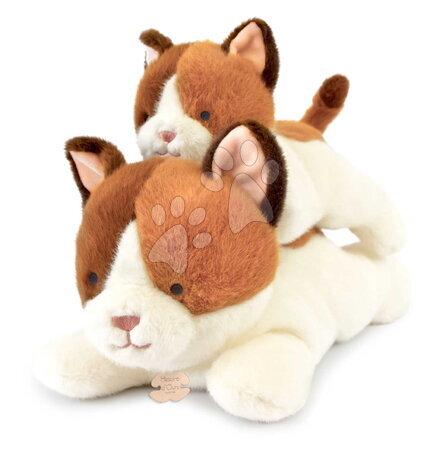 Plyšové zvieratká - Plyšová mačička s ťažkým bruškom P'tit Relax Cat Histoire d’ Ours - 3
