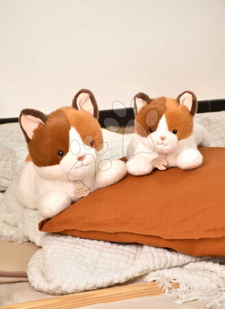 Plyšové zvieratká - Plyšová mačička s ťažkým bruškom P'tit Relax Cat Histoire d’ Ours - 4