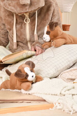 Plush animals | Page 7 - Plush dog with a chubby belly P'tit Relax Brown Dog Histoire d’ Ours_1