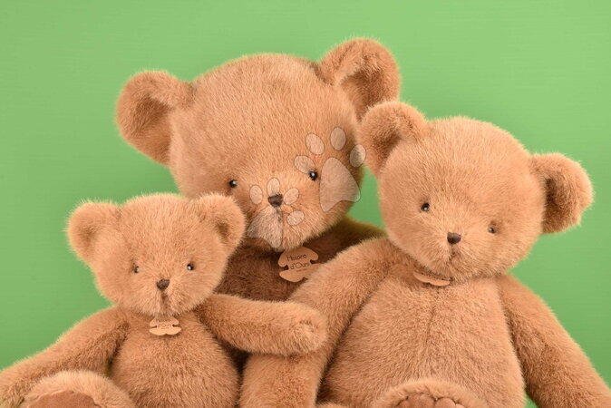 Teddy bears - Plush Bear Clémentin Peanut Praline Histoire d’ Ours - 9