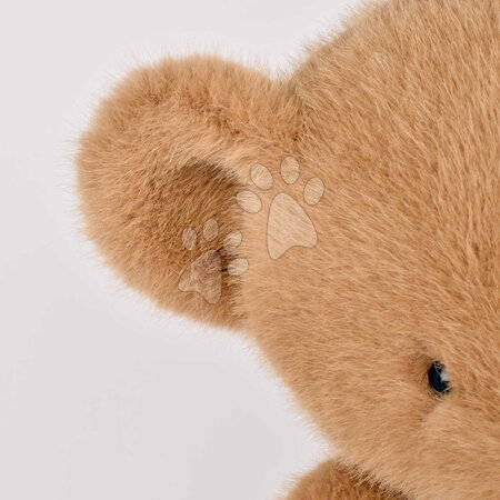 Teddy bears - Plush Bear Clémentin Peanut Praline Histoire d’ Ours - 5