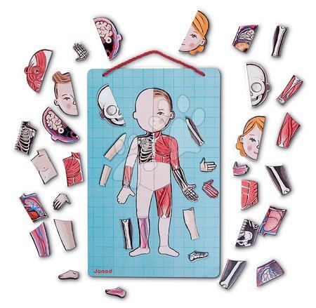 Kreativní a didaktické hračky od výrobce Janod - Magnetická anatomie Bodymagnet Janod_1