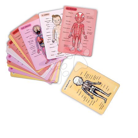 Magnetky pro děti - Magnetická anatomie Bodymagnet Janod - 5