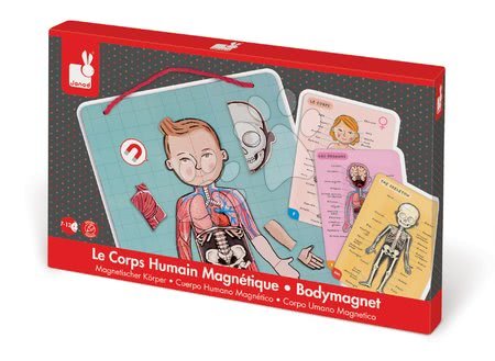 Magnetky pro děti - Magnetická anatomie Bodymagnet Janod - 7