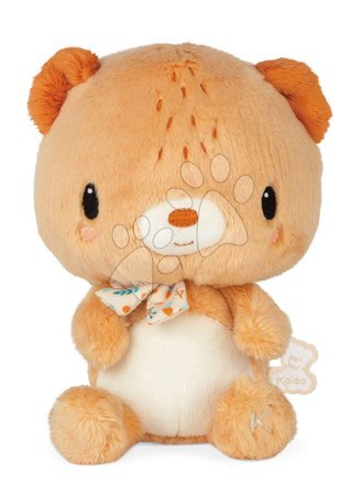 Plyšové hračky - Plyšový medvedík Choo Teddy Bear Kaloo