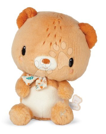 Plyšové hračky - Plyšový medvedík Choo Teddy Bear Kaloo_1
