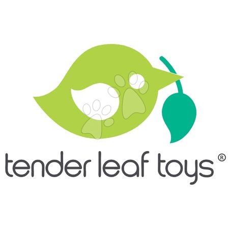 Dřevěné hračky - Dřevěná polární kosatka Tender Leaf Toys_1