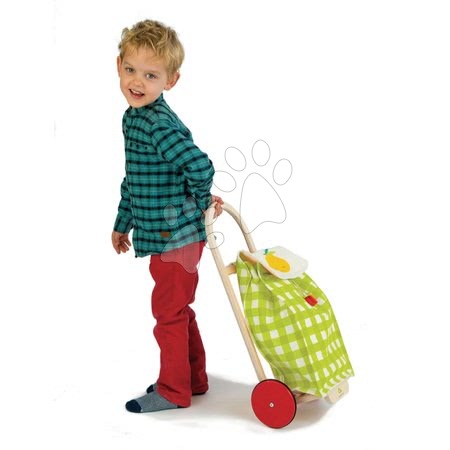 Fa játék szupermarket - Bevásárlókocsi textilanyaggal Shopping Trolley Green Tender Leaf Toys - 1