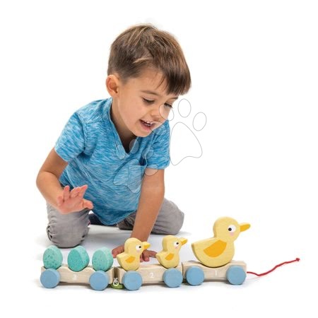 Hračky pro miminka Tender Leaf Toys - Dřevěný vláček na tahání Pull Along Ducks Tender Leaf Toys s kachničkami a vajíčky od 18 měsíců_1