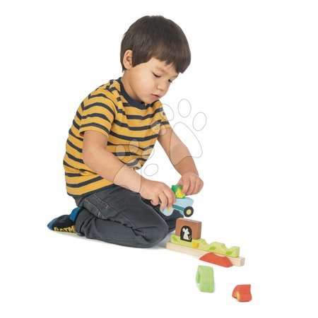 Jucării din lemn  - Puzzle magnetic din lemn grădină Garden Magnetic Puzzle 3D Tender Leaf Toys_1