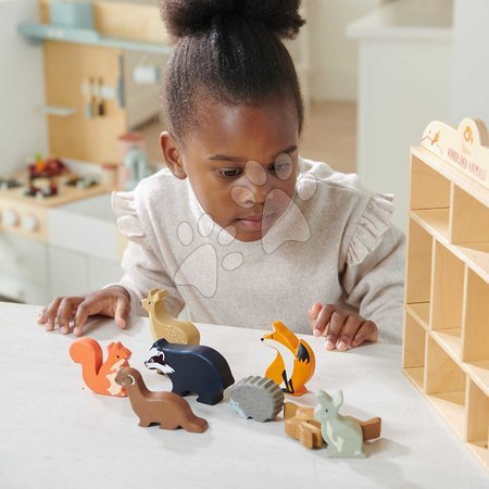 Dřevěné didaktické hračky - Lesní zvířátka na poličce 8 ks Woodland Animals Tender Leaf Toys - 7