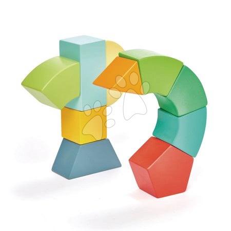 Fa építőjátékok Tender Leaf - Fa mágneses építőjáték Primary Magblocs Tender Leaf Toys