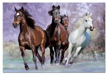 1000 delne puzzle - Educa 14809 PUZZLE 1000 delov Bežiace kone 68 x 48 cm+ FIX PUZZLE LEPILO od 12 leta_1