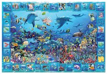 Puzzle 4000 - 8000 dielne - Puzzle Dolphin Kingdom Educa 5000 dielov_0