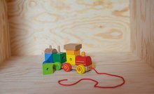 Drevené didaktické hračky - Drevený vláčik s kockami Train Eichhorn lokomotíva so zvukom 11 dielov od 12 mes_1