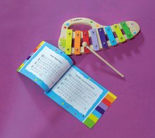 Dětské hudební nástroje - Dřevěný xylofon Music Xylophone Eichhorn barevný 8 tónů s kladívkem od 24 měsíců_11