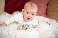 Chrastítka a kousátka - Dřevěné chrastítko se zvonečky Bio 100% Natur Baby Pure Rattle Eichhorn s držadlem a plyšovými oušky od 3 měsíců_1