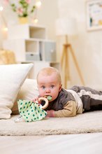 Rasseln und Beißringe - Rassel aus Holz Baby Hipp Grasping Toy Eichhorn mit Tuch - zum Kuscheln ab 12 Monaten EH5871_3