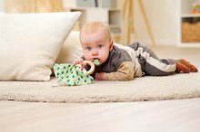 Hochets et jouets de dentition - Hochet en bois Baby HIPP Grasping Toy d'Eichhorn avec une serviette pour s'essuyer à partir de 12 mois_0