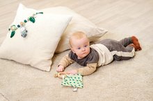 Rasseln und Beißringe - Rassel aus Holz Baby Hipp Grasping Toy Eichhorn mit Tuch - zum Kuscheln ab 12 Monaten EH5871_3