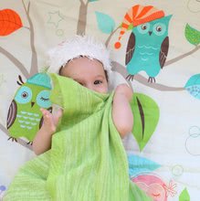Dětské deky - Dětská přikrývka Sateen Owl toT's-smarTrike Sovy 100% bavlna vzhled saténu tyrkysová od 0 měsíců_1